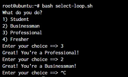 Select Loop In Shell Scripts