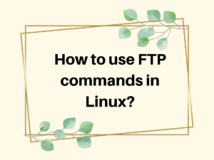 How To Use FTP Commands In Linux (1)