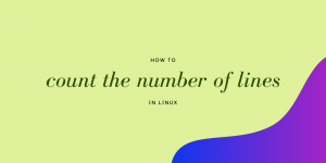 Count Number Of Lines