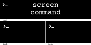 Screen Command