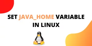 Java Home variable in linux