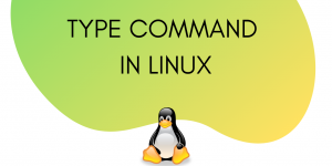 Type Command