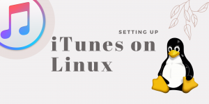 ITunes On Linux