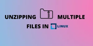 UNZIPPING MULTIPLE FILES IN LINU