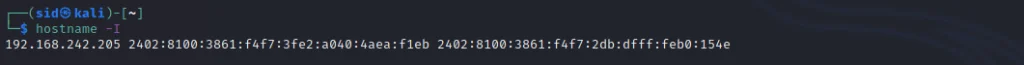 systems-ip-address-using-hostname