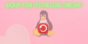 Backup Your System Using Timeshift