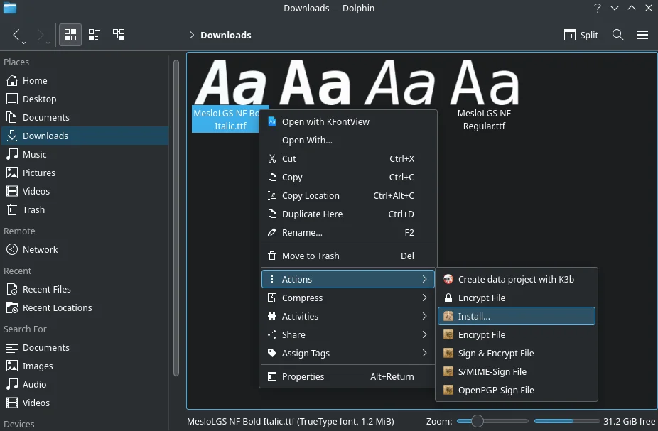 Install Nerd Fonts Arch Linux