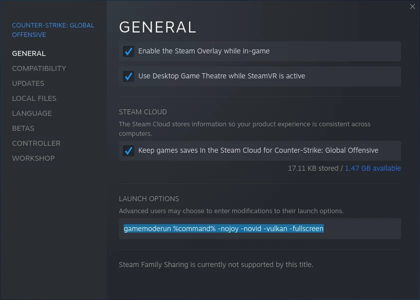 Add Launch Options To The CS GO Game 1