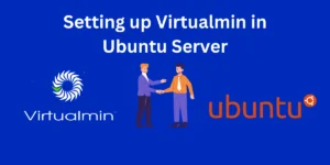 Setting Up Virtualmin In Ubuntu Server