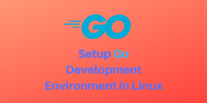 Setup Go Development Environment In Linux