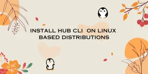 INSTALL HUB CLI ON LINUX BASED DISTRIBUTIONS (1)