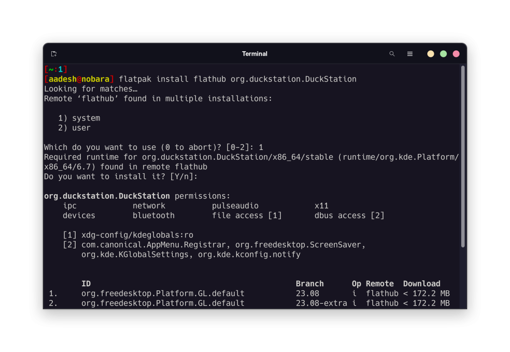 Installing Duckstation On Linux
