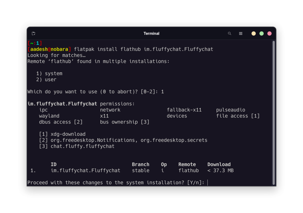 Installing FluffyChat On Linux