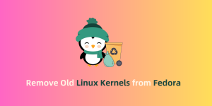 Remove Old Linux Kernels From Fedora