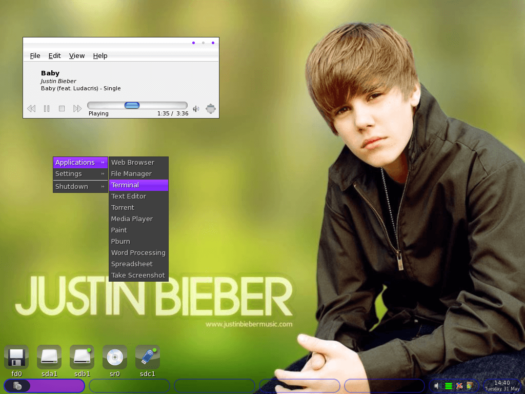 Bebian Linux Interface